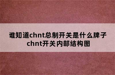 谁知道chnt总制开关是什么牌子 chnt开关内部结构图